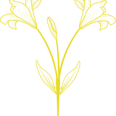Flowers 9 Thumbnail