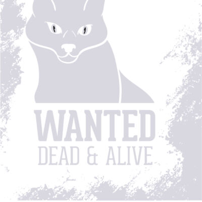 2016 03 14 022 Thumbnail